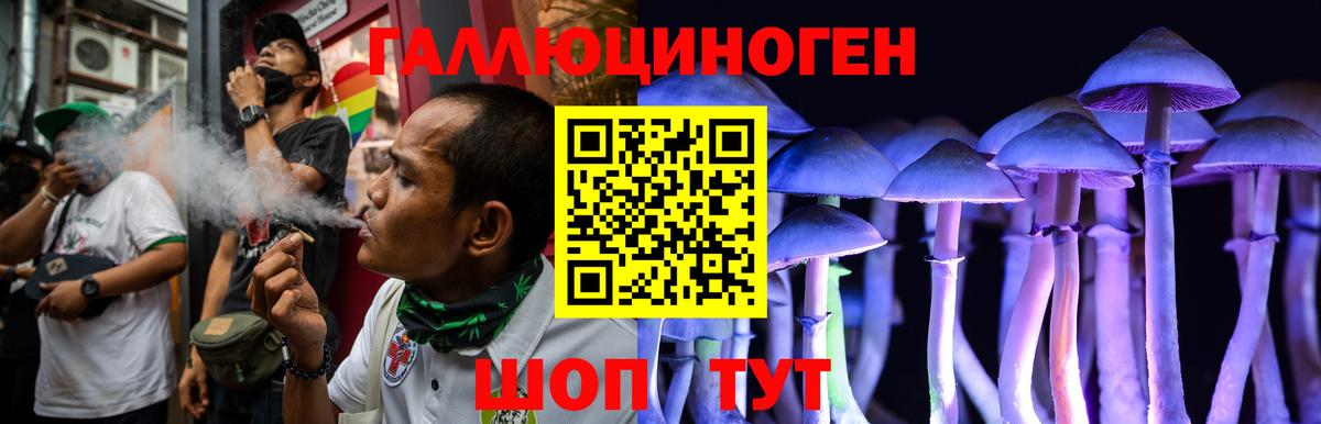 где можно купить   Вход с VPN  Острогожск  Галлюциногенные грибы Magic Shrooms 